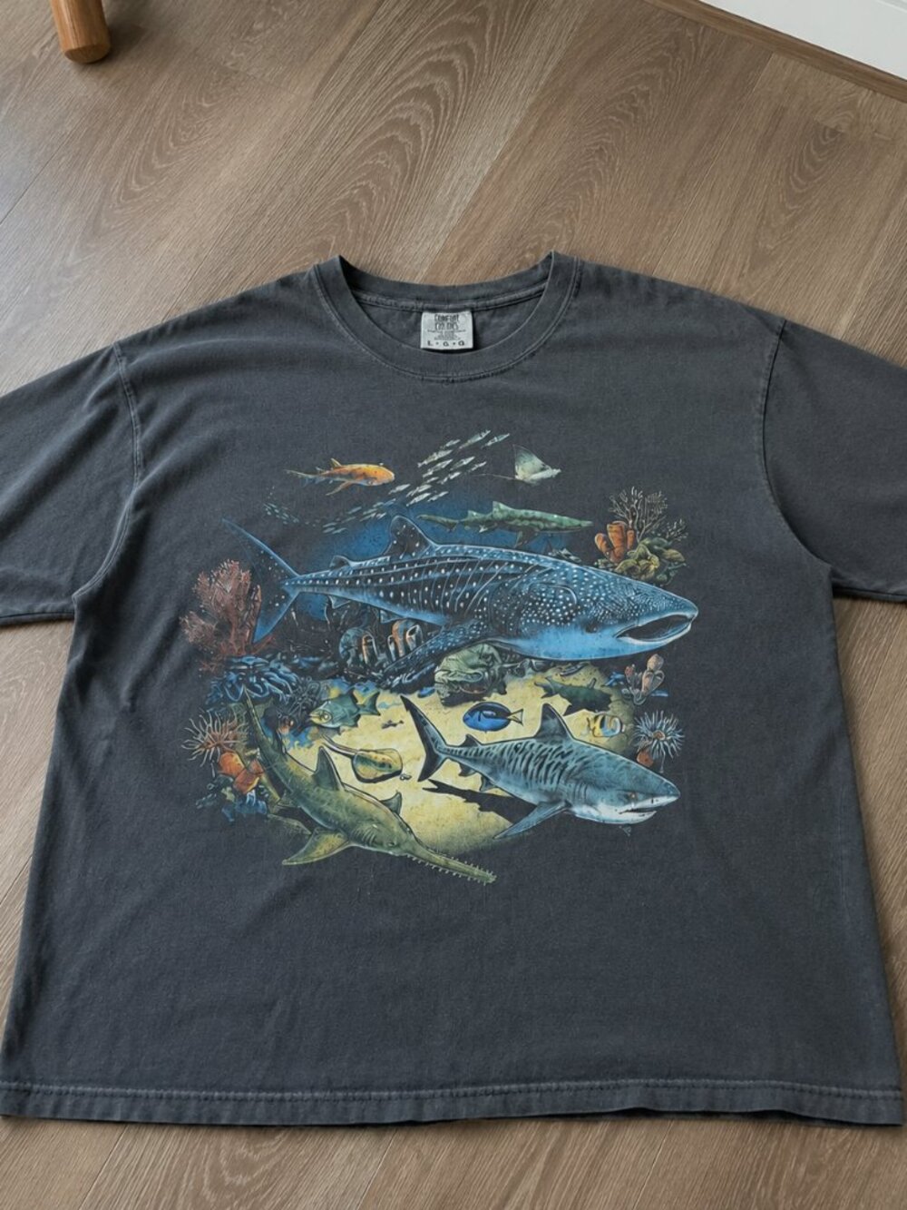 Vintage Shark Species Identification Shirt, Marine Life Graphic Tee